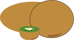 Brown Round Fruit with Green Leaf Clipart