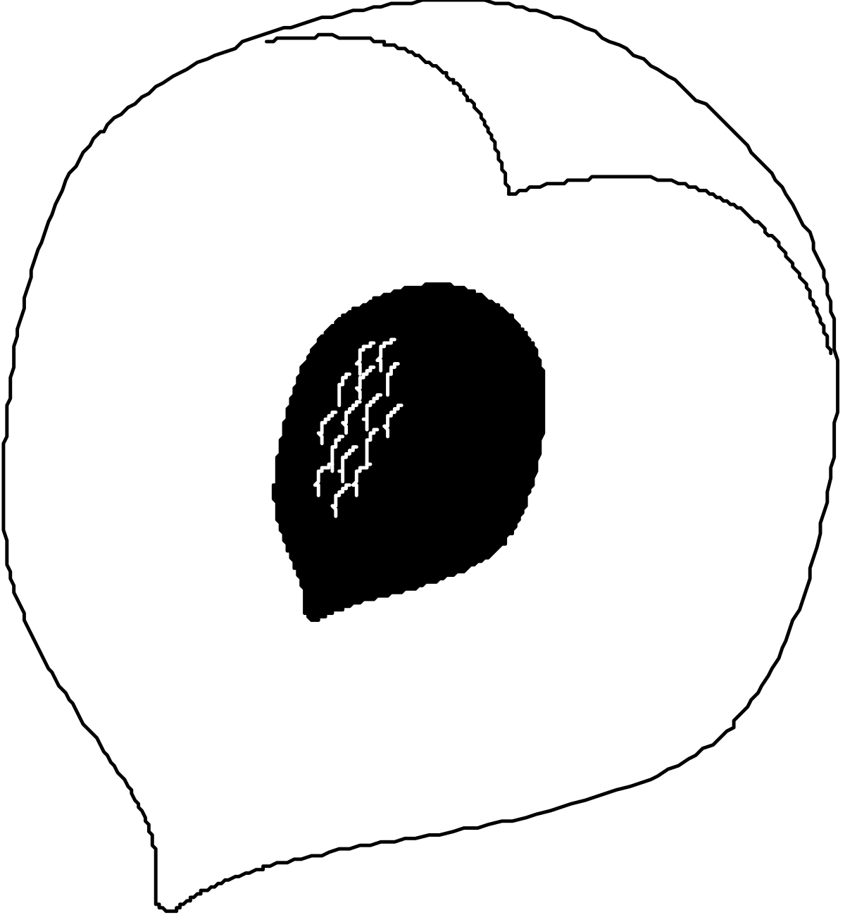 White Poppy Flower Clipart with Bold Black Outline