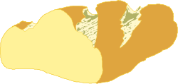 Australia Map Clipart: Vibrant Yellow and Green Regions