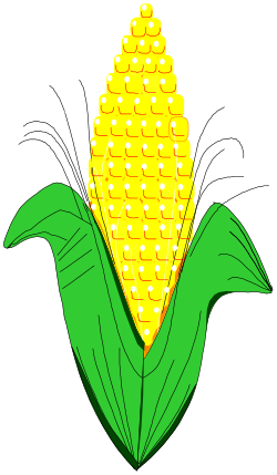 Corn on Black Background Clipart for Dynamic Visuals