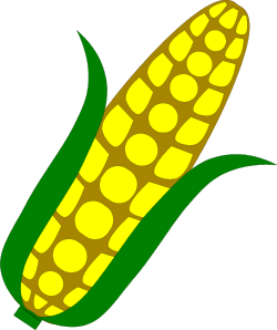Corn Clipart: Vibrant and Versatile Designs for Every Use