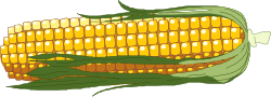Corn Clipart: Vibrant Yellow Kernels for Your Projects