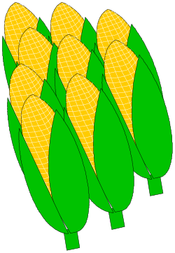 Corn Clipart Collection - Vibrant and Versatile Illustrations