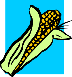 Corn Clipart: Vibrant Illustrations of Fresh Corn