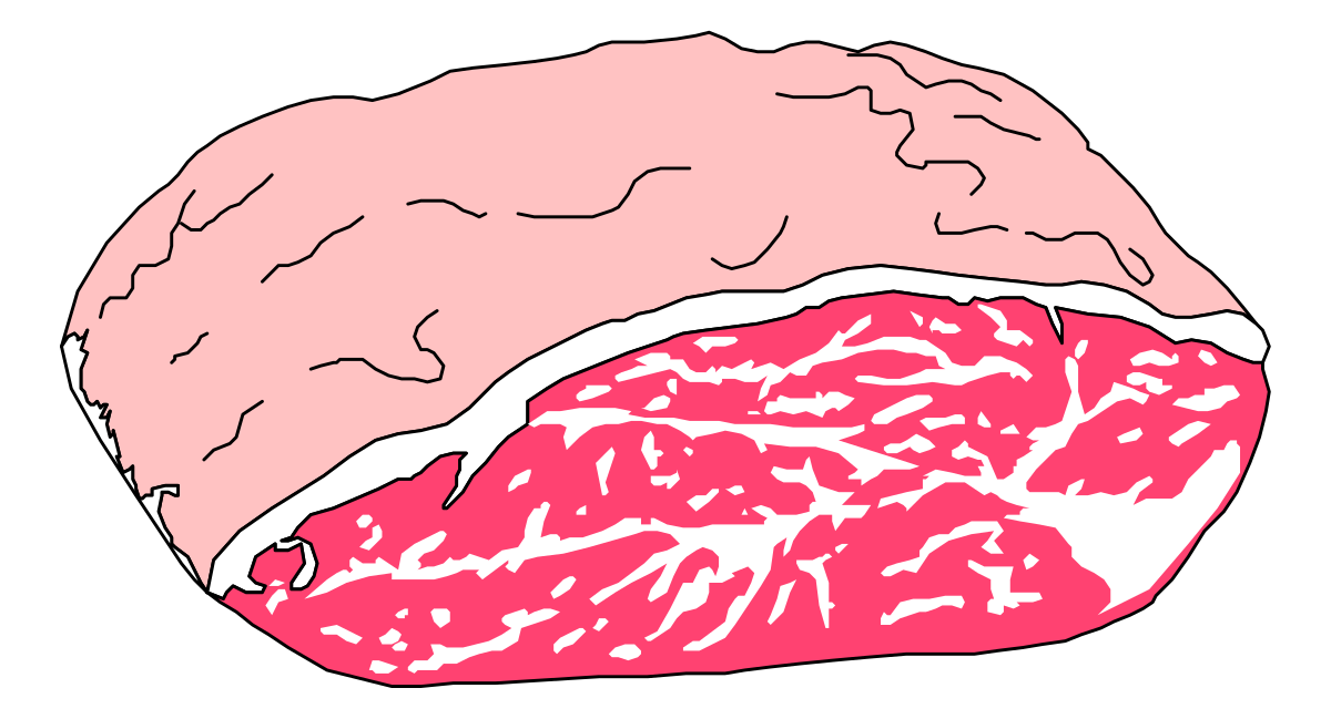 Meat on Black Background - Premium Clipart