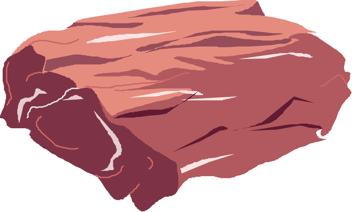 Meat Cut Illustration on Black Background for Culinary Projects