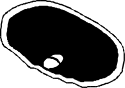 Food,Prepfood,MEAT025 clipart