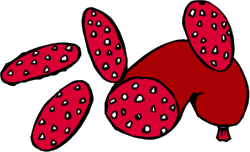 Red Cookie with White Dots - Delicious Clipart for Your Projects
