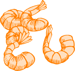 Shrimp Clipart: Vibrant Shrimp with Tail for Creative Projects