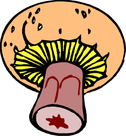 Mushroom with a Face and Red Nose Clipart - Whimsical Character Art