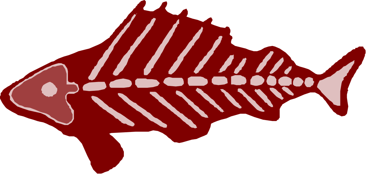 a fish skeleton with a skeleton on it clip art png transparent Fish Skeleton Clipart: Detailed Underwater Décor