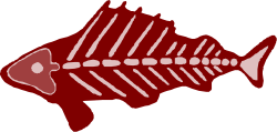 Fish Skeleton Clipart: Detailed Underwater Dcor