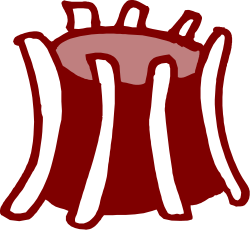 Red and White Striped Table Clipart for Vibrant Designs