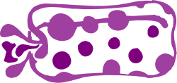 Purple and White Tooth Clipart for Dental Projects