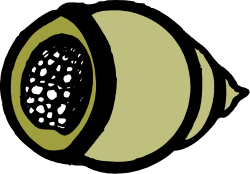 Half Kilo Clipart: Vivid Visuals of Fresh Produce