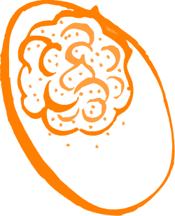 Fresh White and Orange Fruit Clipart on Black Background