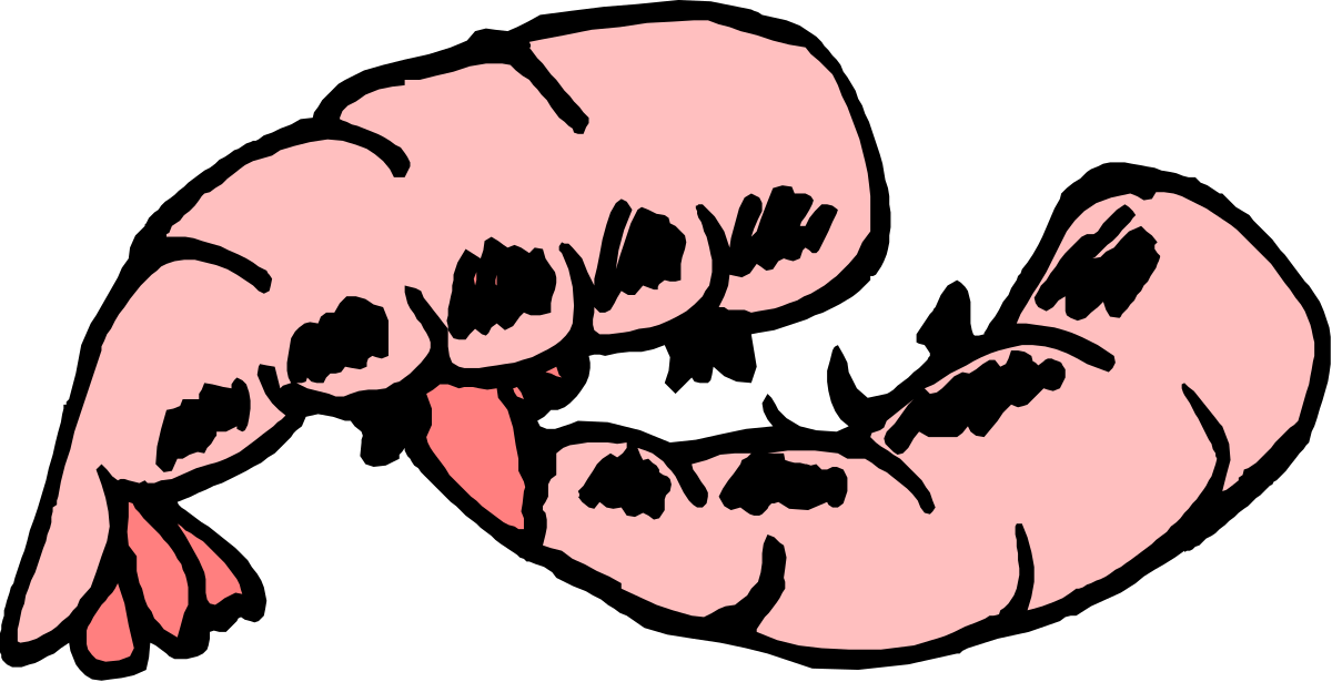 Pink Flower on Black Background - Stunning Clipart Illustration