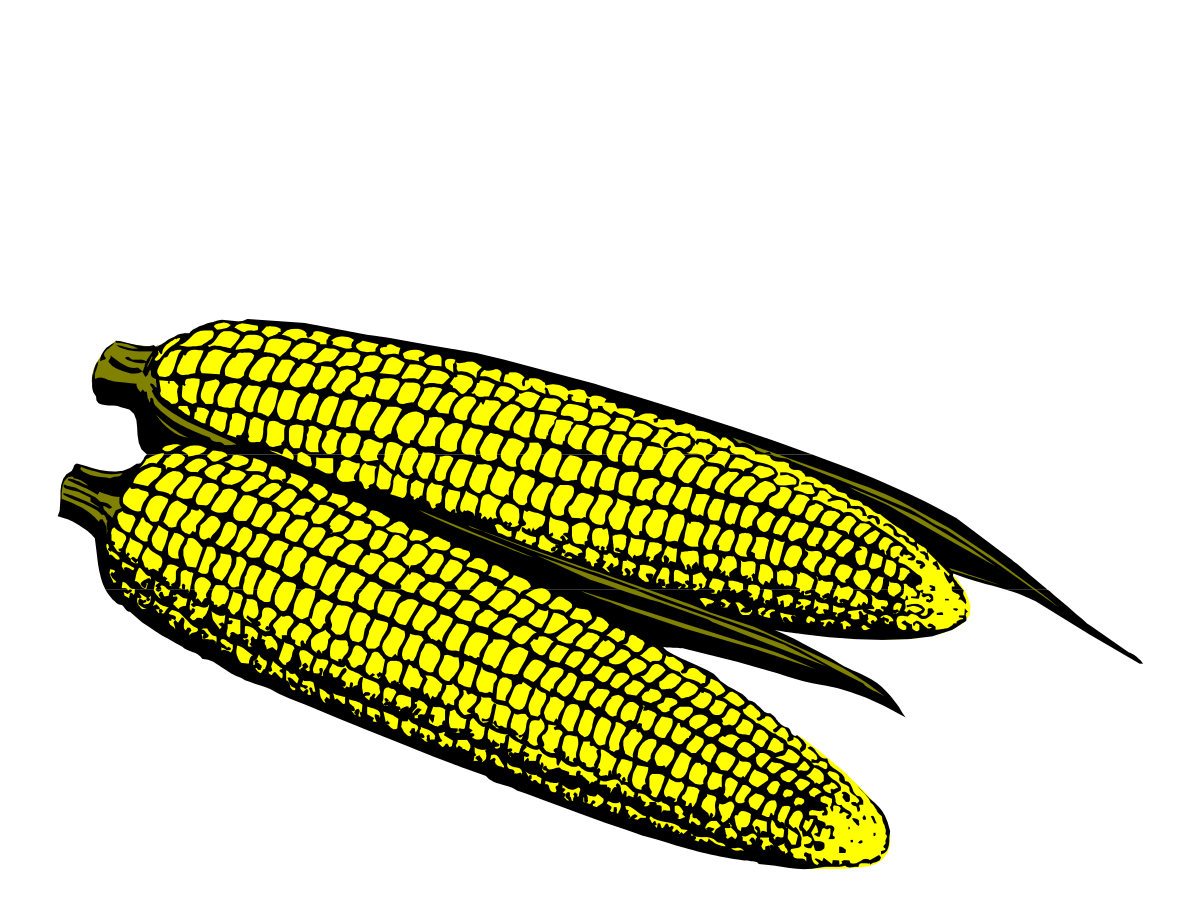 Corn Clipart: Two Ears of Corn on Black Background