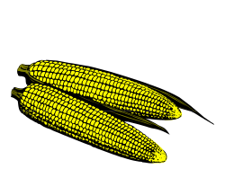 Corn Clipart: Two Ears of Corn on Black Background