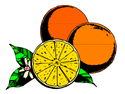 Fresh Oranges Clipart: Vibrant Citrus Illustrations for Every Occasion