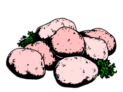 Pink Potatoes with Green Leaves - Fresh Organic Vegetables Clipart
