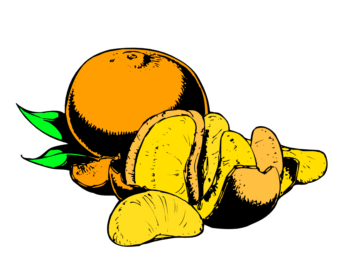 a drawing of a bunch of oranges clip art png transparent Fresh Oranges Clipart - Vibrant Bunch of Juicy Citrus Fruits