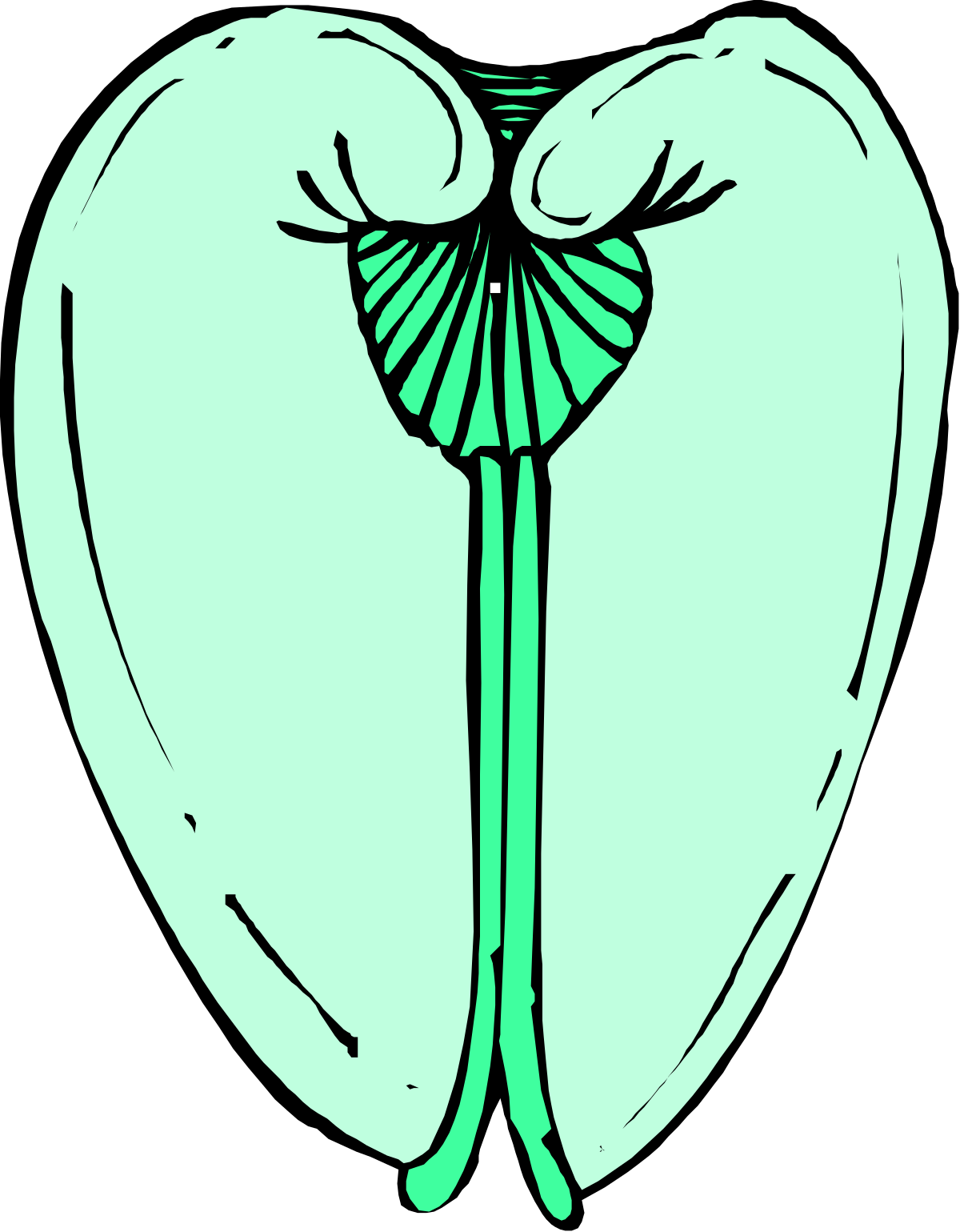 a green heart with a bow on it clip art png transparent Green Heart with Bow Clipart - Perfect for Celebrations