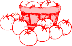 Bucket of Fresh Tomatoes - Vibrant Clipart for Culinary Themes
