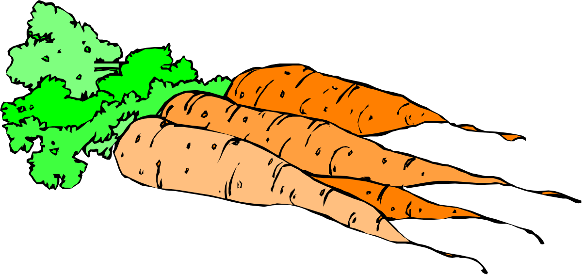 Carrots Clipart: Vibrant Bunch of Fresh Carrots