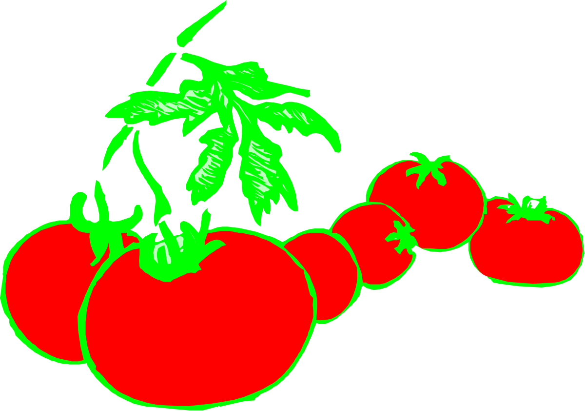 Fresh Tomatoes on Black Background - Vibrant Clipart Illustration