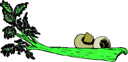 Green and Black Background Clipart for Dynamic Designs