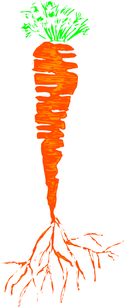 Carrot with Roots Clipart - Fresh Nutritional Illustration