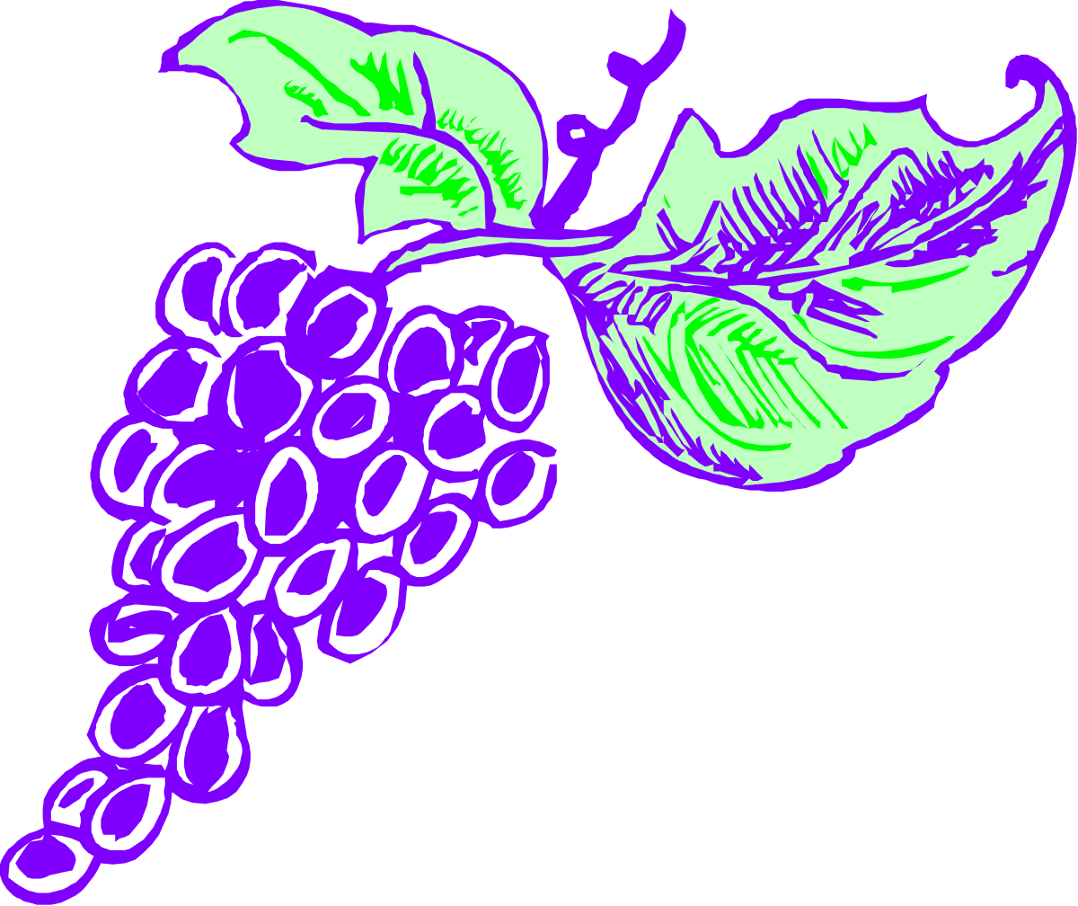 Grapes Clipart: Fresh and Lush Grapes for Your Creative Projects