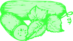 Skull Illustration Clipart - Intricate Skull Design for Various Uses