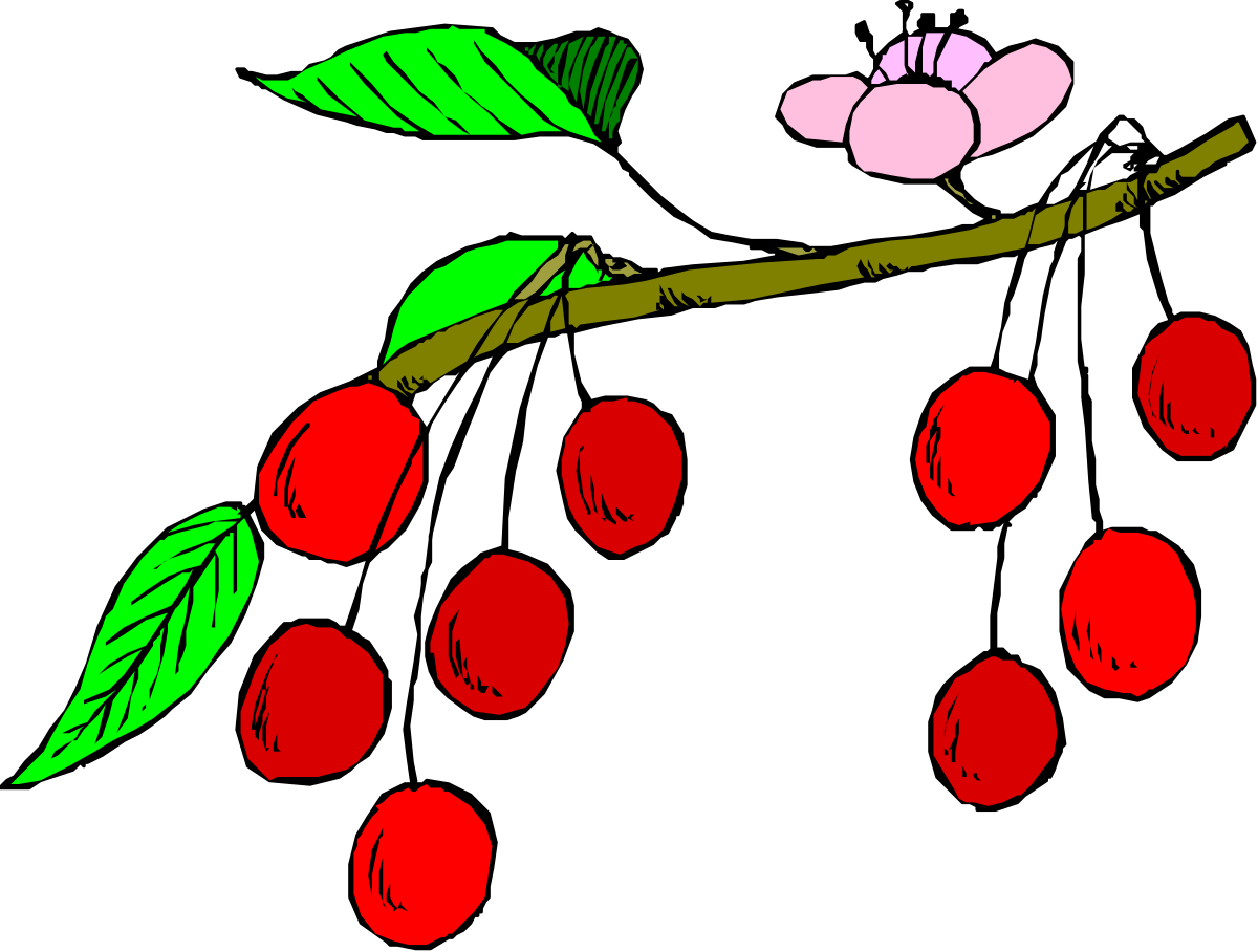 Cher Clipart Branch - Vibrant and Fun Illustrations