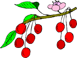 Cher Clipart Branch - Vibrant and Fun Illustrations