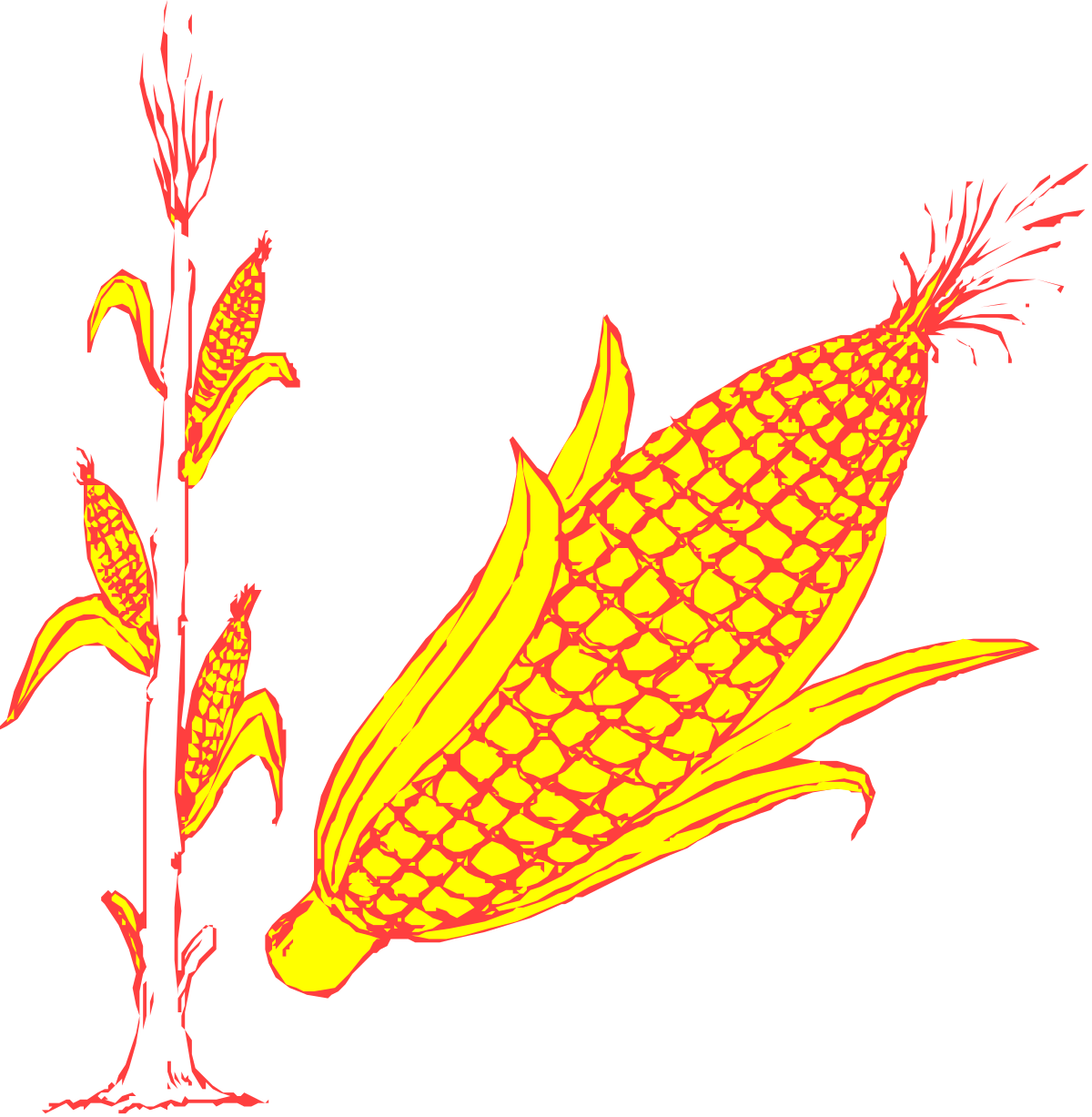 a corn cob with a stem and a stem clip art png transparent Corn Cob with Stem Clipart - High-Quality SVG Graphics
