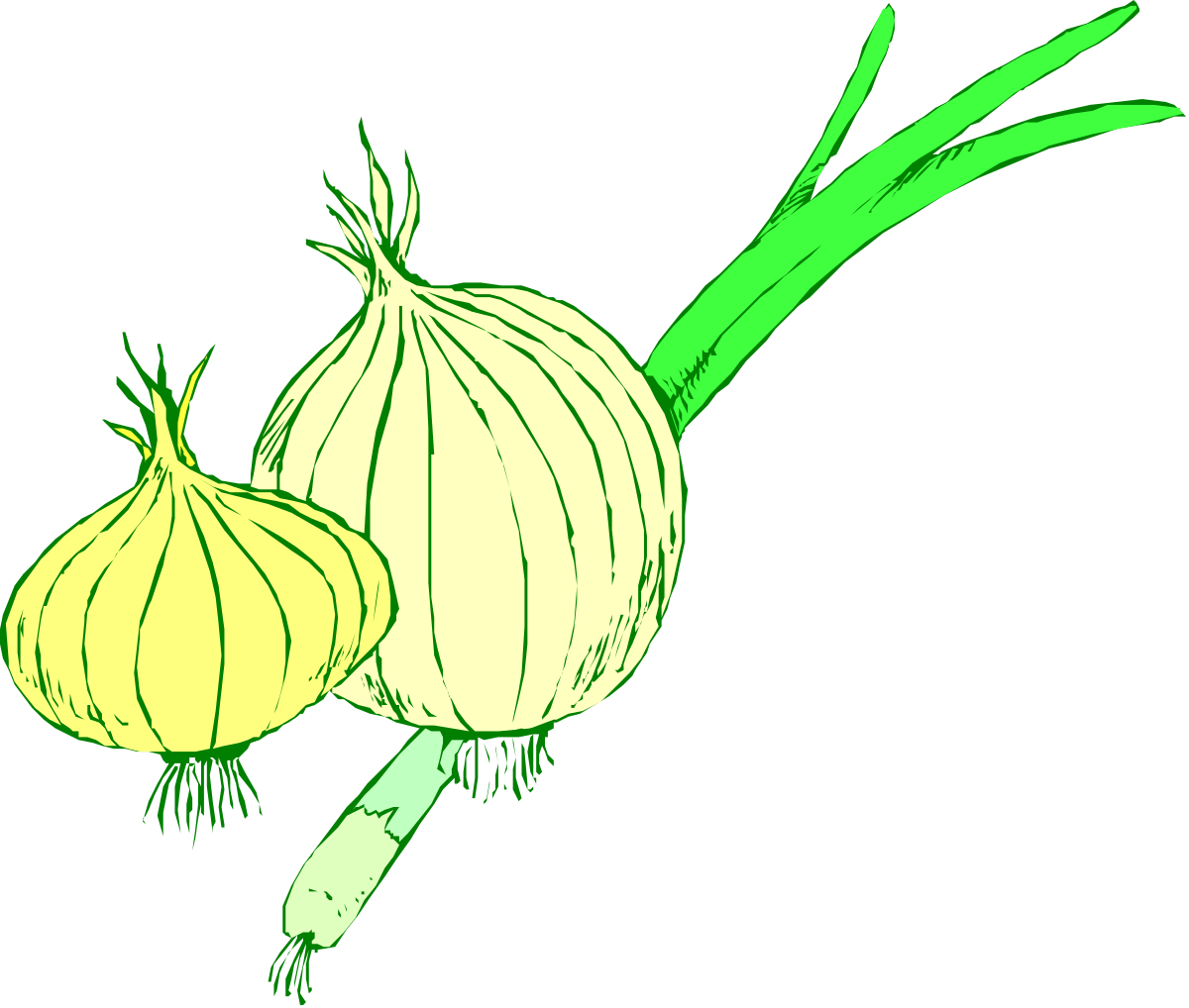 a bunch of onions clip art png transparent Onion Clipart: Fresh and Vibrant Bunch of Onions for Your Projects