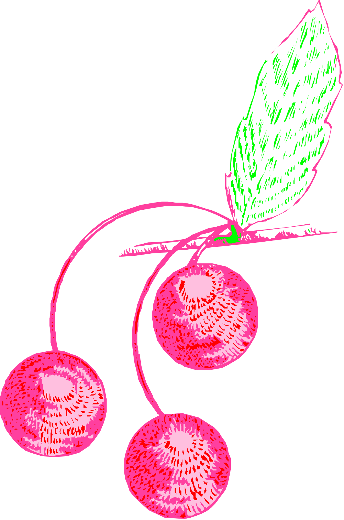 Pink Flowers with Green Leaves on Black Background - Stunning Clipart