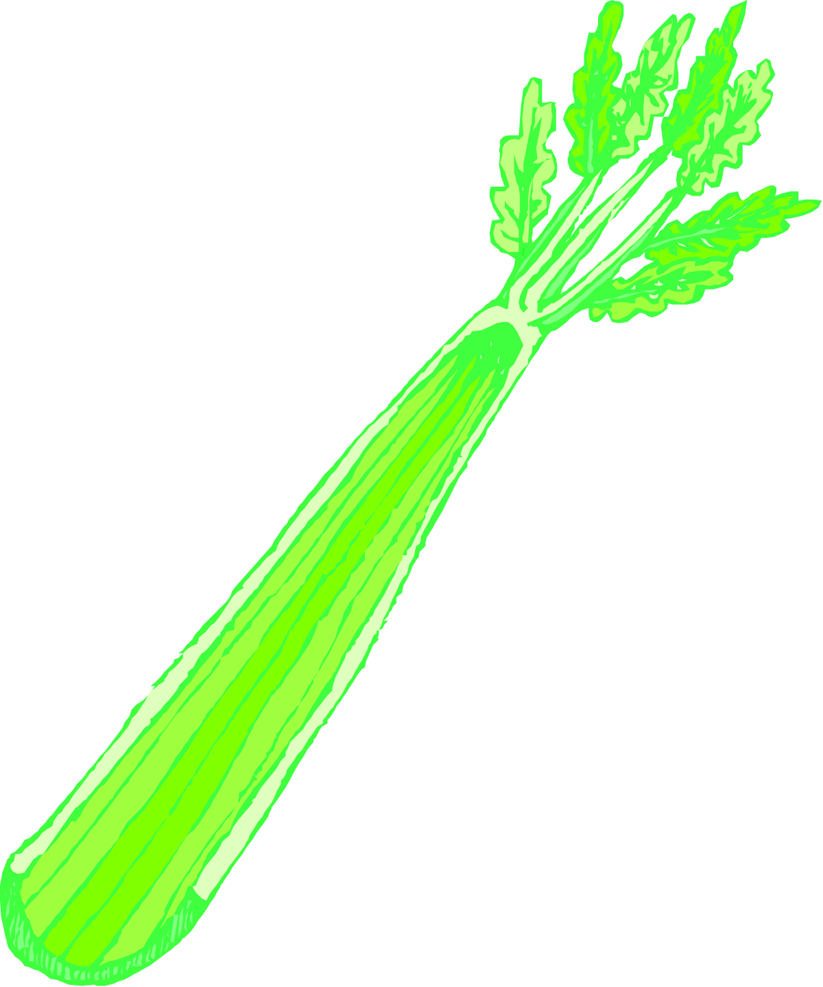 Carrots with Green Leaves Clipart: Fresh and Vibrant Vegetables