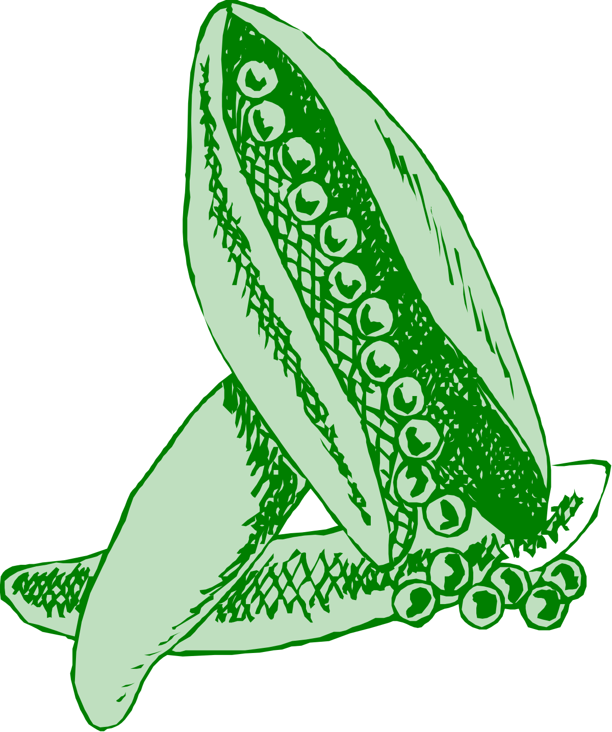 Green and White Fish Clipart: Stunning Aquatic Illustration