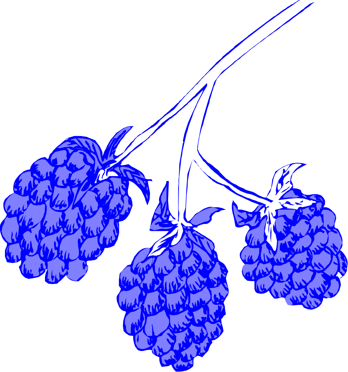 a bunch of blue flowers on a black background clip art png transparent Blue Flowers Bouquet on Black Background - Stunning Clipart Collection