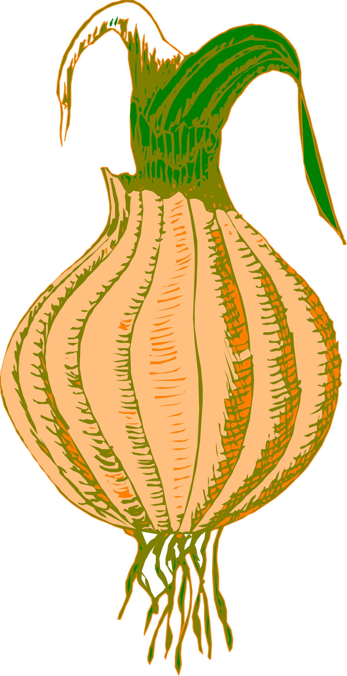Fresh Carrot with Green Stem Clipart for Healthy Living