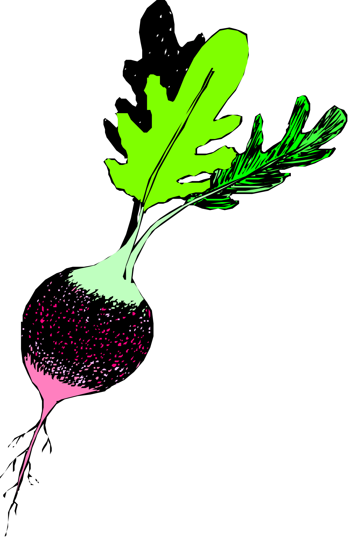 a green leaf with a pink stem clip art png transparent Green Leaf with Pink Stem Clipart - Vibrant Nature Illustration