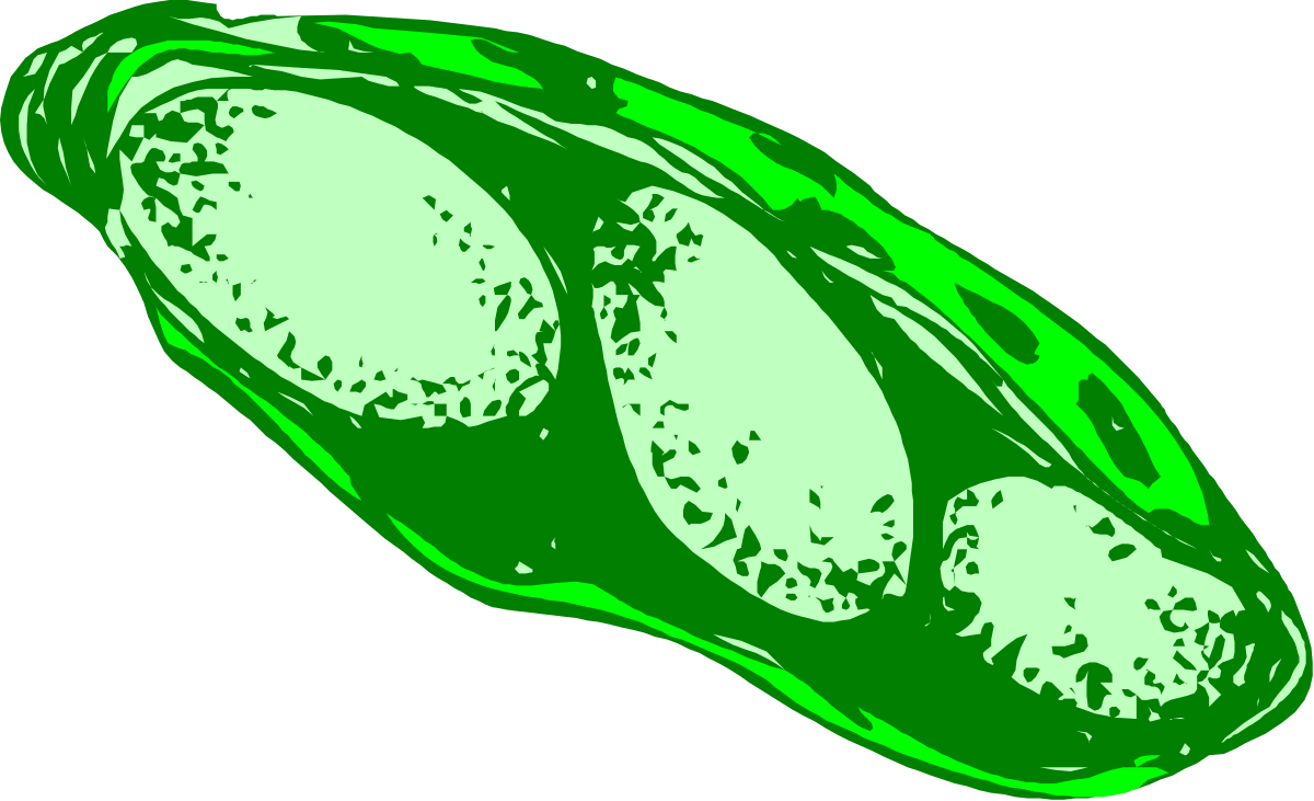 a green peale on a black background clip art png transparent Green Pear on Black Background - Fresh Clipart for Your Projects