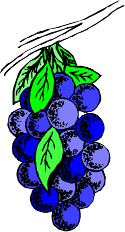 Fresh Bunch of Grapes Clipart for Culinary Creations