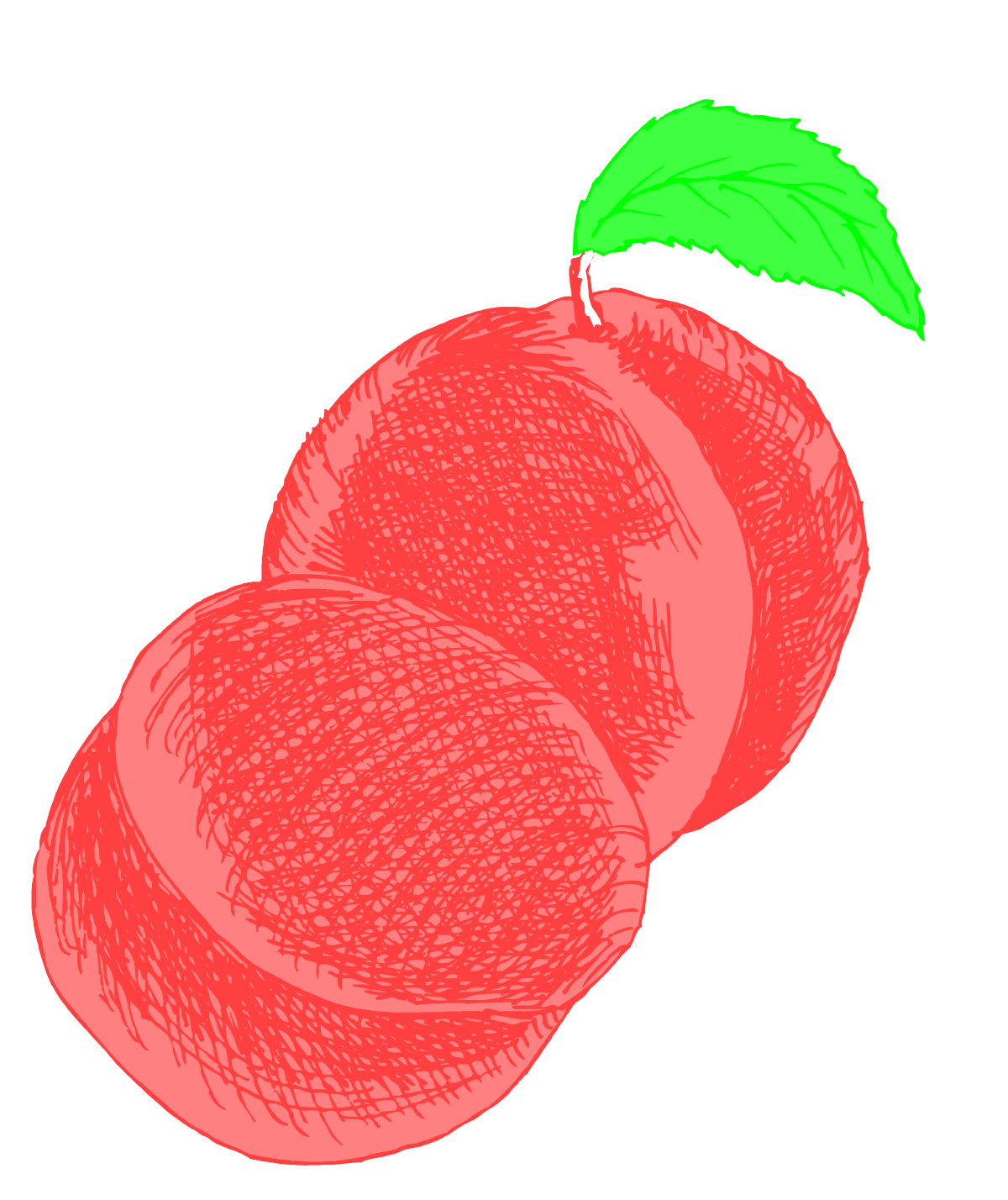 a drawing of three peachs with a leaf on top clip art png transparent Peach Clipart: Lush Fresh Fruit with Leaf Design