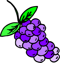 Grapes Clipart: Fresh Bunch of Juicy Grapes Illustration