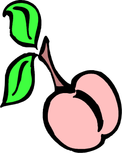Fresh Peach with Leaf Clipart  Perfect for Summer Designs