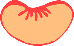Heart-Shaped Orange with Red Ribbon - Clipart Delight